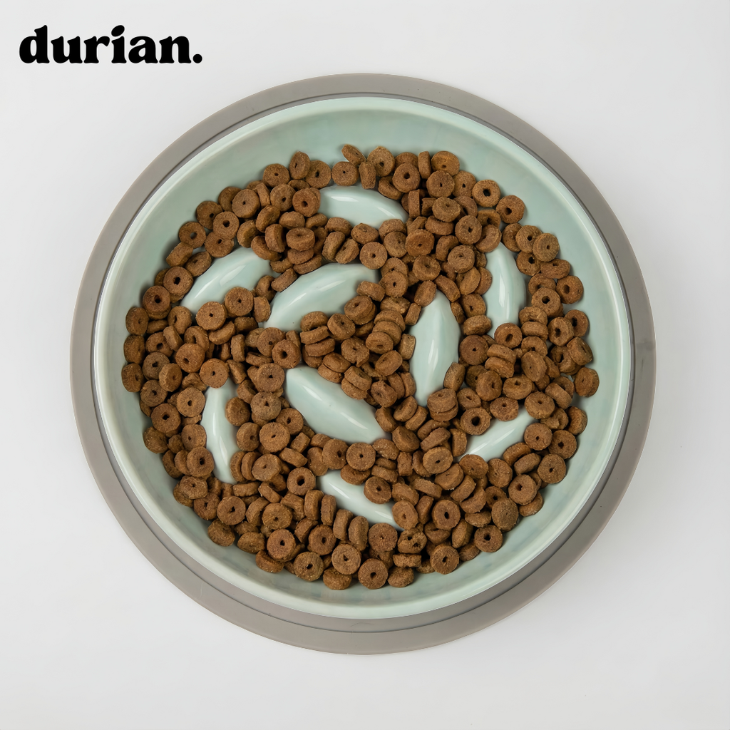 The Slow Feeder Bowl