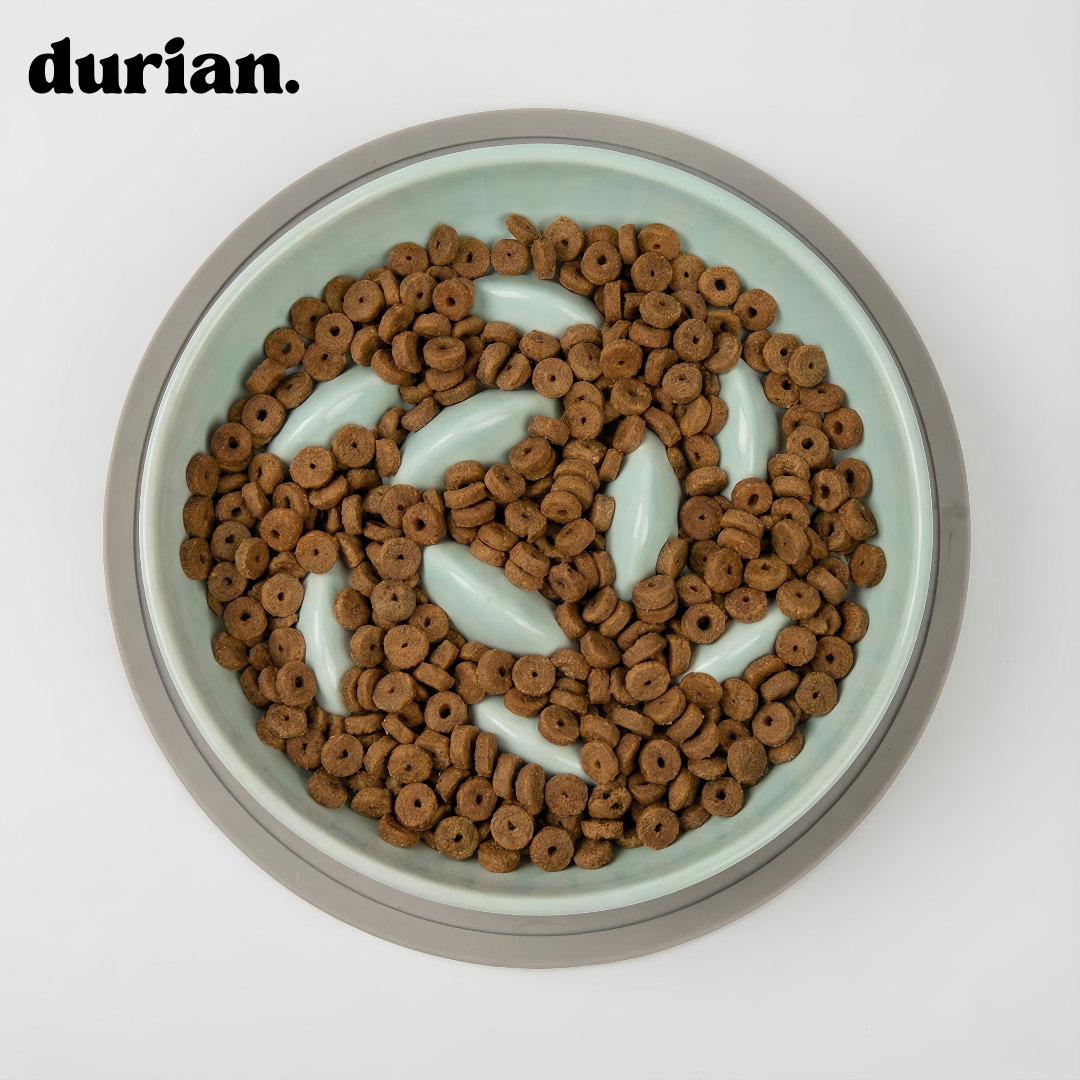 The Slow Feeder Bowl