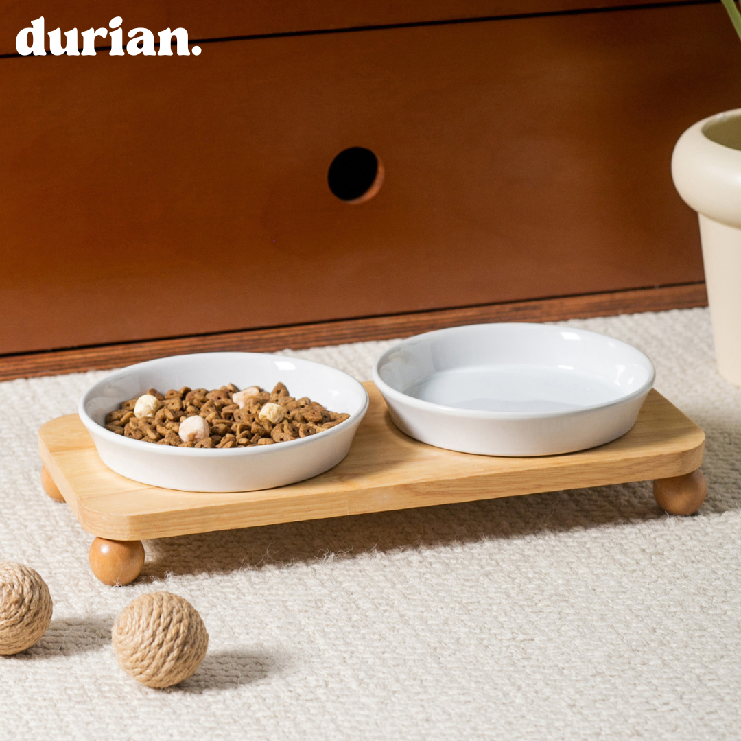 The Ceramic Double Bowl