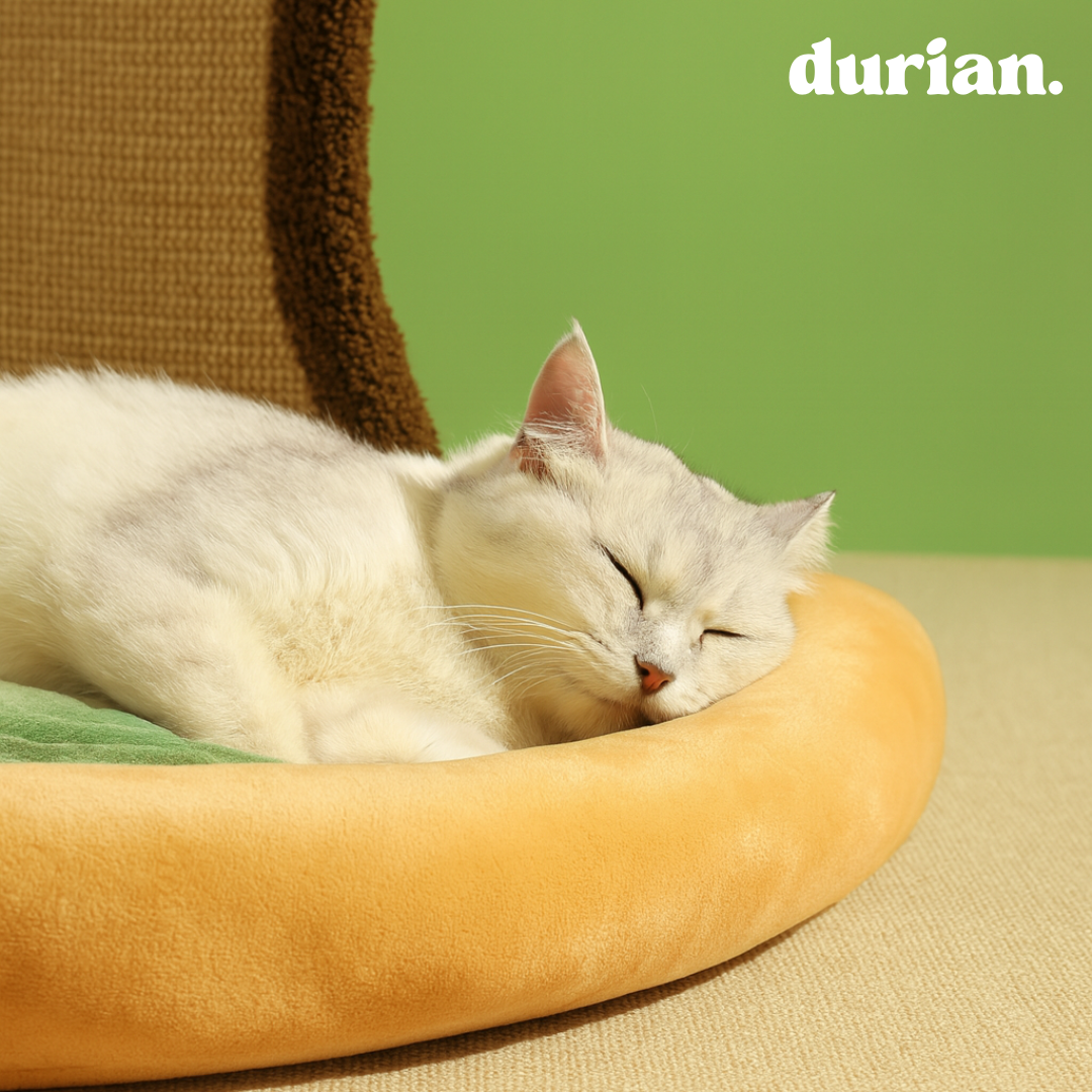 The Persimmon Scratcher