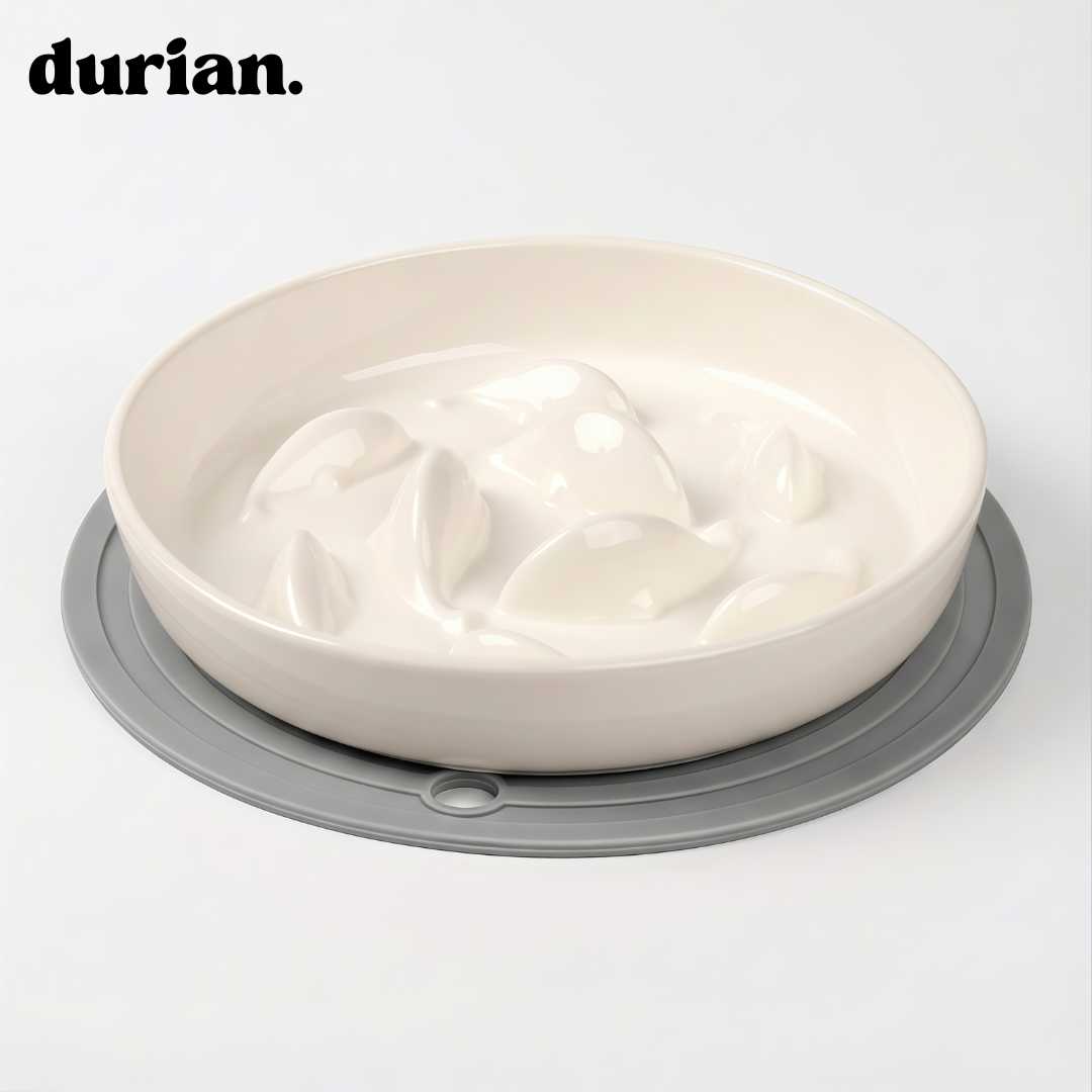 The Slow Feeder Bowl