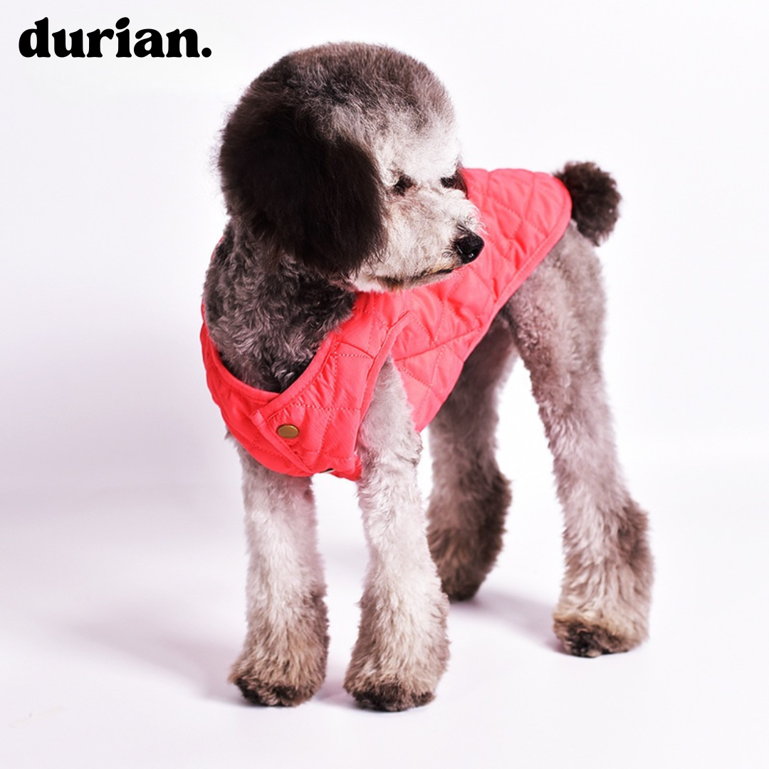 durian. Quilted Dog Vest｜Lightweight Warm Padded Jacket｜For Small & Medium Dogs
