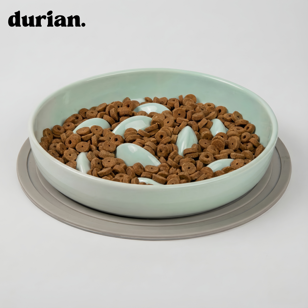 The Slow Feeder Bowl