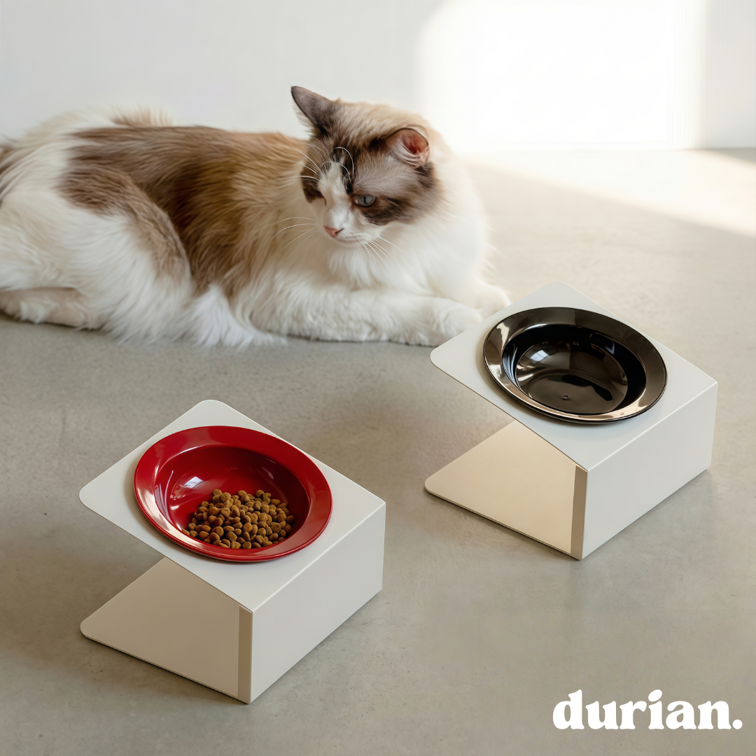 The Classic Double Bowl